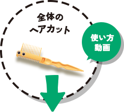 全体のヘアカット